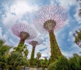 Supertree-Grove-Singapore