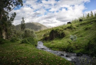 Incas with Amazon and Galapagos