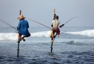 Exotic Sri Lanka