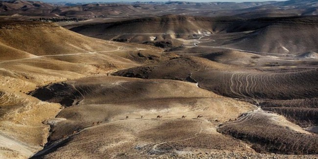 Masada and the Dead Sea