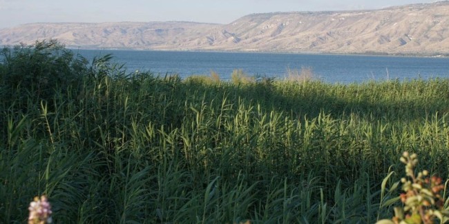 Galilee