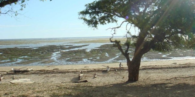 Toliara