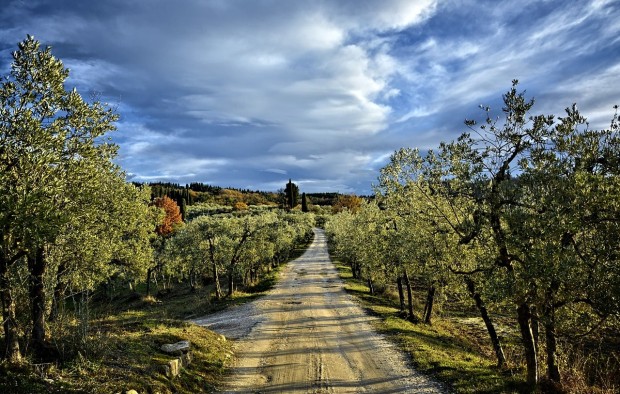 Chianti Hills Italy