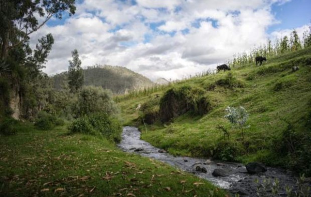 Ecuador