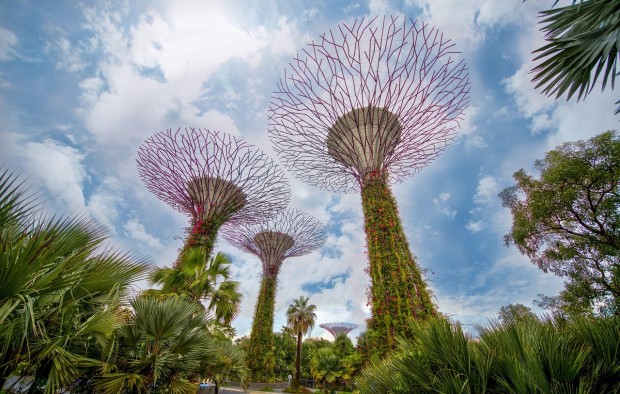 Supertree-Grove-Singapore