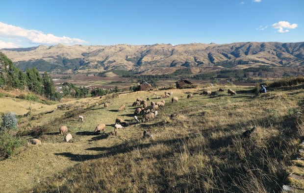 sacred-valley-peru